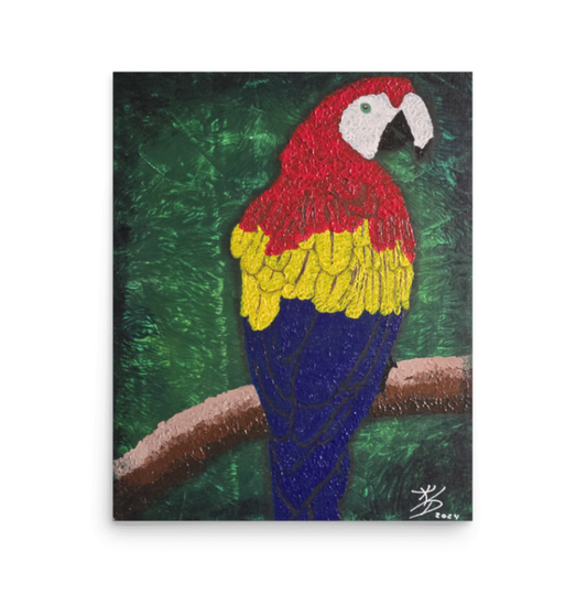 Majestic McCaw - Fine Art Print